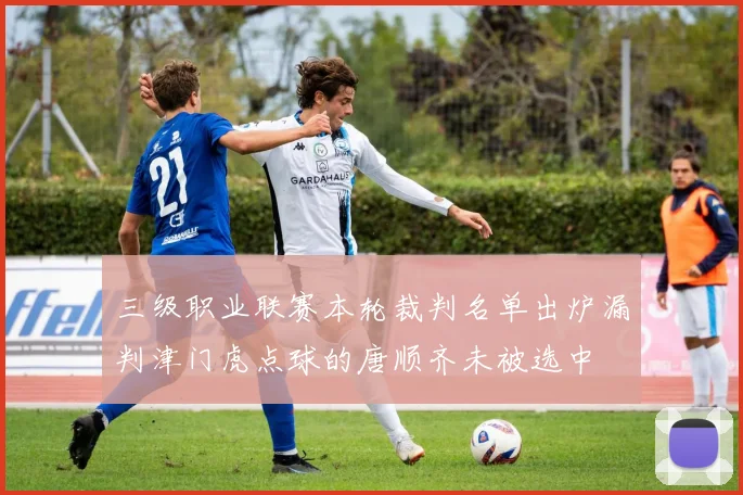三级职业联赛本轮裁判名单出炉漏判津门虎点球的唐顺齐未被选中