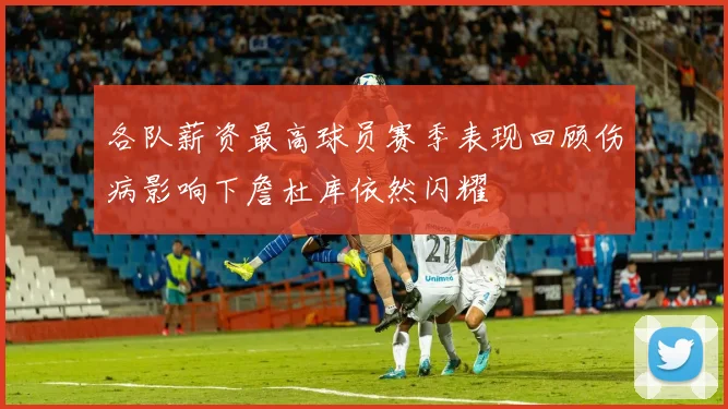 各队薪资最高球员赛季表现回顾伤病影响下詹杜库依然闪耀